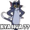 KYA HUA??