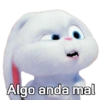 Snowball con frases 🐇🐰 6