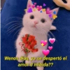 a Wenos dias, ya se despertó el amor d mibida??
