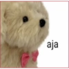 aja