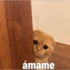 ámame