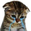 Memes tristes 10