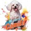 Mi perro Camila