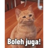 Boleh juga!