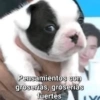Pensamientos con groserias, groserias fuertes