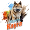 Mi perro Koyra