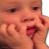 @harley stickers