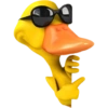 🦆 Patitos pa'todo 🕶🦆 12 😎