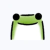 Frobbit the tiny frog 30