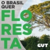 O BRASIL QUER FLO RES TA CUT