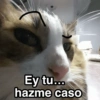 Ey tu... hazme caso