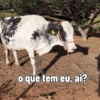 o que tem eu, ai?