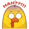HAH??!!!