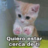 Quiero estar cerca de ti @Harley Stickers