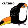cutano