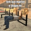 CUZUERO tem que manter o shape né