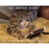si estoy bien es solo que te extraño