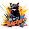 Mi perro Nacho