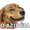 Animais 12