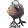 POMBO!