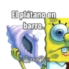 El plátano en barro. Did