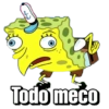 Todo meco