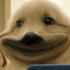 Debochados🤗 13