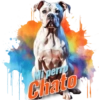 Miperro Chato