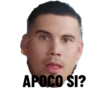 APOCO SI?