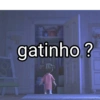 gatinho?