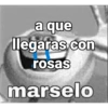 a que llegaras con rosas marselo