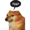 Pipipi!
