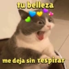 tu belleza me deja sin respirar