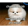 @ani safa chamou de bb tem que colocar pra mamar