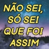 NÃO SEI, SÓ SEI QUE FOI ASSIM