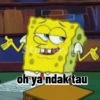 oh ya ndak tau