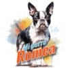 EMi Mi perro Romea