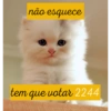 não esquece tem que votar 2244