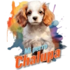 Mi perro Chalupa