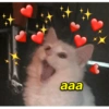 aaa