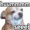 Melhores memes 12
