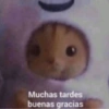 Randomssss pa lo que sea  5