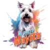 Miperto Mayita