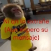 Ni qn la extrane (A MOUS pero su mensaje)