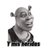 Y mis heridas