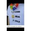 LAMBE MIA PICA Minha camiseta de carnaval