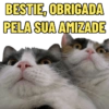 BESTIE, OBRIGADA PELA SUA AMIZADE