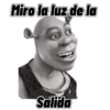 Miro la luz de la Salida