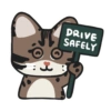 DRIVE SAFELY