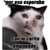 por eso esperaba con la carita empapada